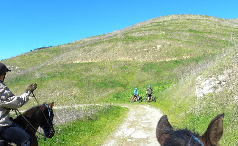 Three Ways Equestrians Can Make Sharing Multi-Use Trails Possible  | SLO Horse News 