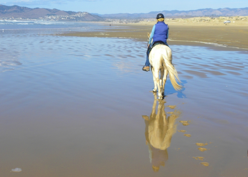 Riding a Horse on Pismo Beach California Dreamin’ SLO Horse News