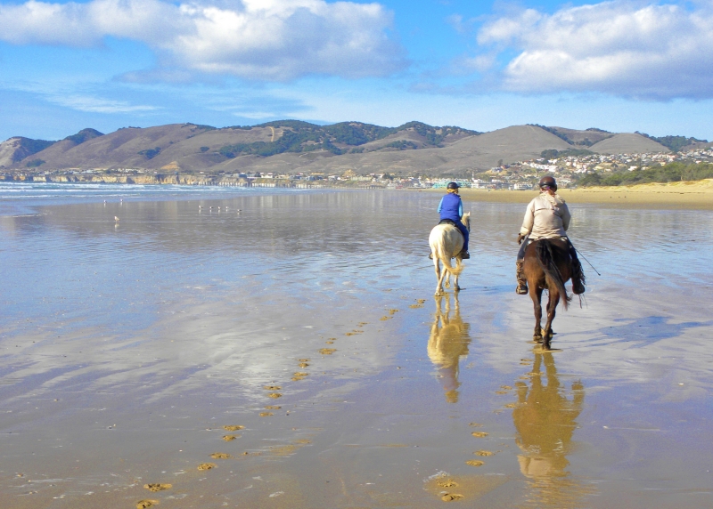 Riding a Horse on Pismo Beach: California Dreamin’