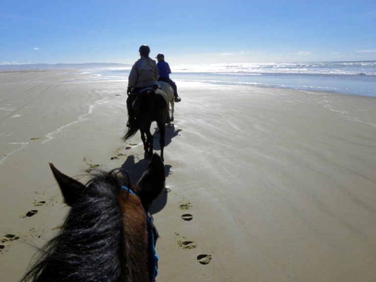 Riding a Horse on Pismo Beach California Dreamin’ SLO Horse News