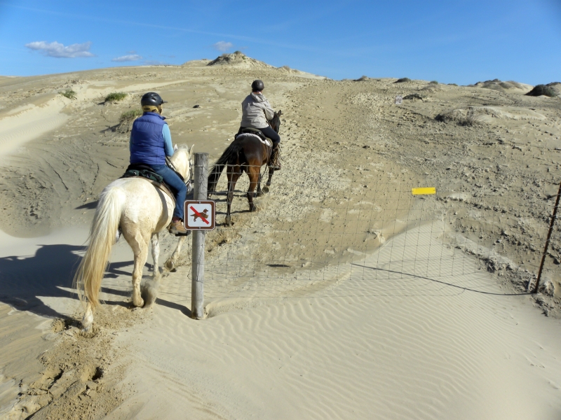 Riding a Horse on Pismo Beach: California Dreamin’  | SLO Horse News 