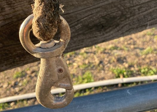 Simply a Horse Lead Rope?  | SLO Horse News 