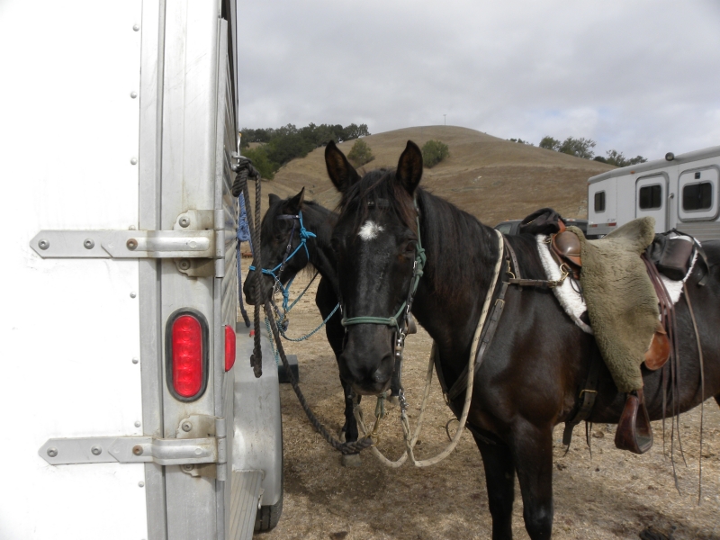 Equestrians Explore the Stunning Ranching Landscape of Santa Rita Ranch  | SLO Horse News 