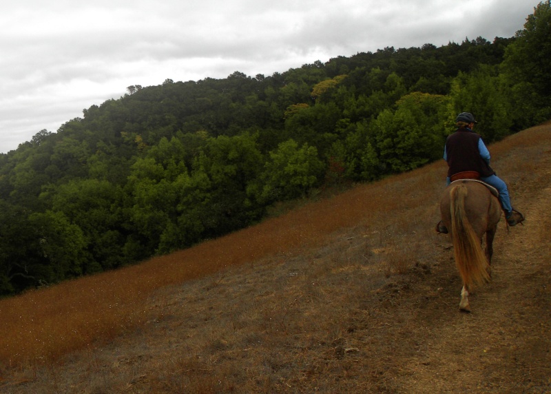 Equestrians Explore the Stunning Ranching Landscape of Santa Rita Ranch  | SLO Horse News 