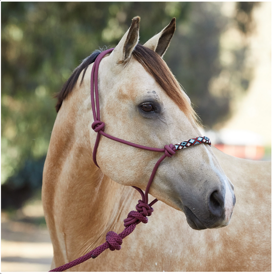 Simply a Horse Lead Rope?  | SLO Horse News 
