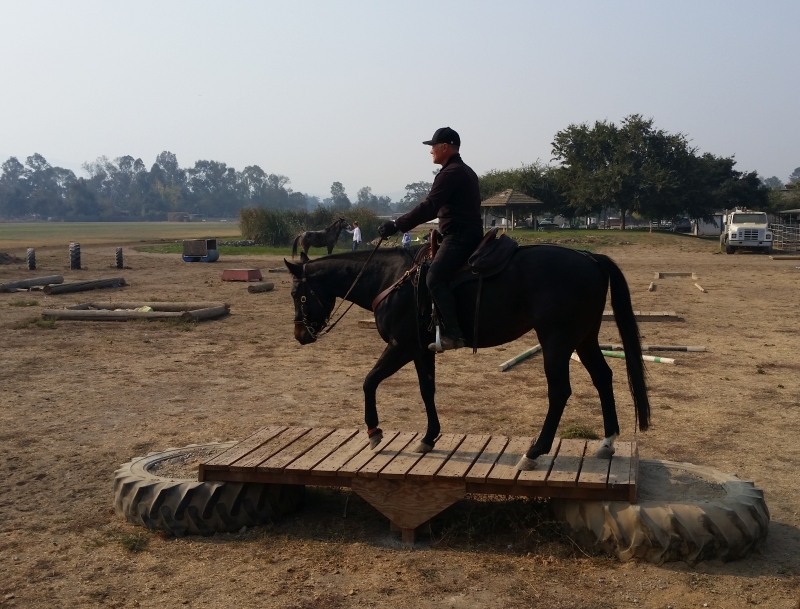 Join the Fun of a Memorial Trail Trial Honoring Fallen Mounted Police Personnel and Mounts | SLO Horse News 
