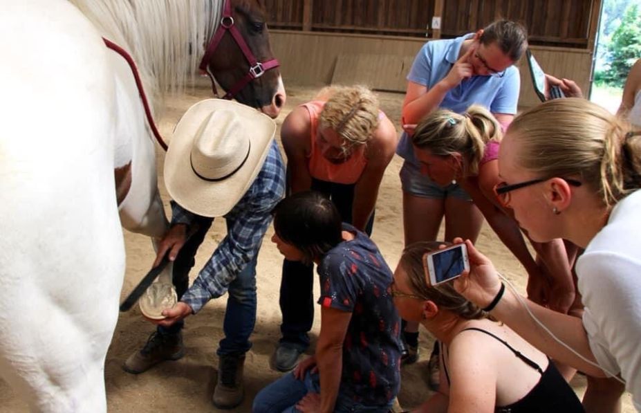 Hoof Building Clinic with David Landreville : Taking the Mystery out of Trimming  | SLO Horse News 