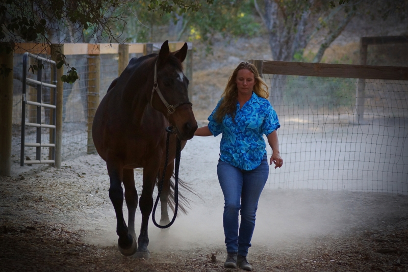 Sage and Spur Ranch Provides Custom Care for Your Horse | SLO Horse News