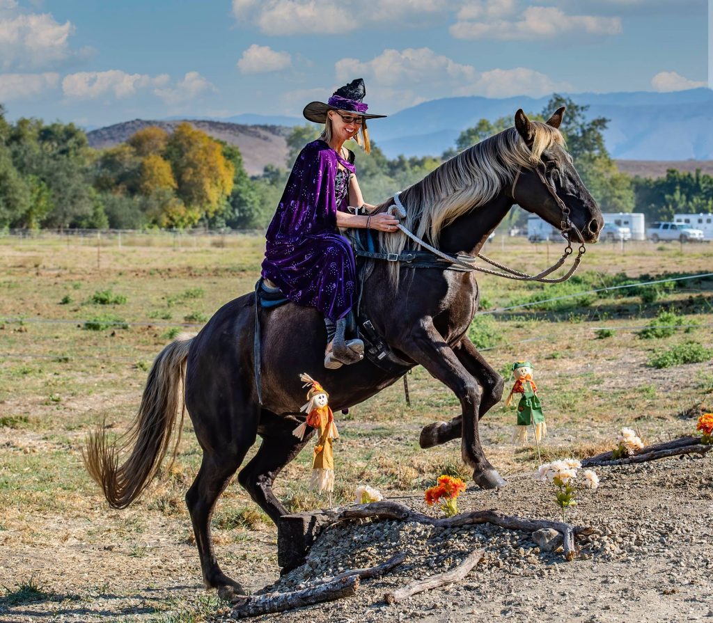 Monthly Trail Challenges Build Confidence in Horse and Rider  | SLO Horse News 