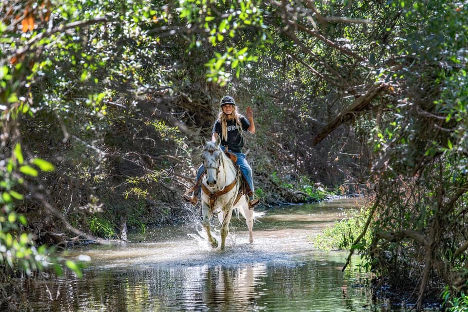 Monthly Trail Challenges Build Confidence in Horse and Rider  | SLO Horse News 