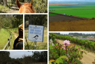 Nipomo Horse Trails:  Riding the SLO County Trails