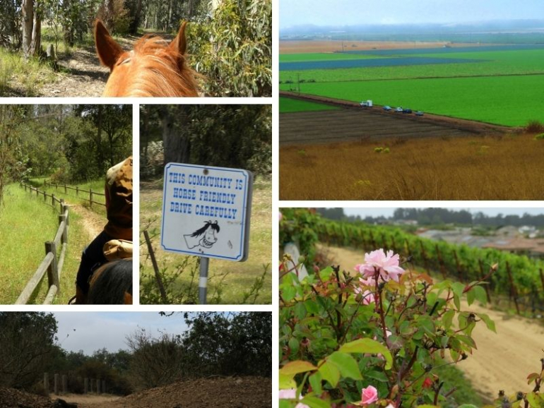 Nipomo Horse Trails Riding the SLO County Trails SLO Horse News