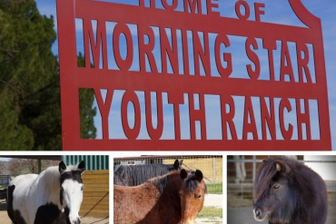 Horses Saved My Life: Morning Star Youth Ranch