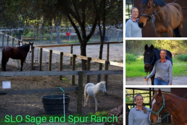 Caring Custom Care for Your Horse at SLO Sage and Spur Ranch