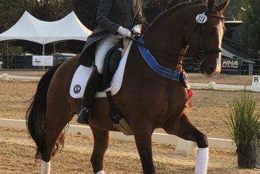 Happily Training and Showing Dressage Horses Successfully as a Senior