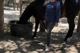 Customized Feeding Program for Each Horse at SLO Sage and Spur Ranch | SLO Horse News