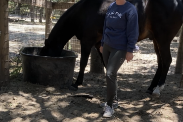 Customized Feeding Program for Each Horse at SLO Sage and Spur Ranch