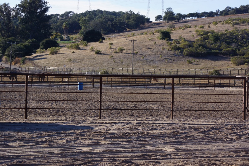 Varian Equestrian Center Grand Opening: A New Vision