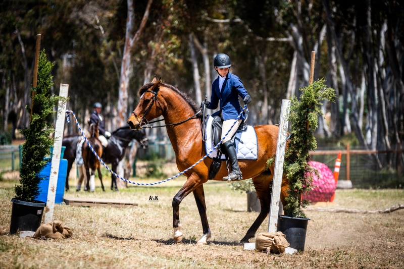 Don and Carol Hirons Memorial Trophy Awarded for the First Time | SLO Horse News