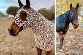 Slick Horseware – A Local Business is Blooming