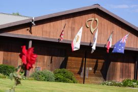 Short-term boarding at Varian Equestrian Center