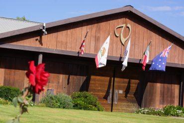 Short-term boarding at Varian Equestrian Center