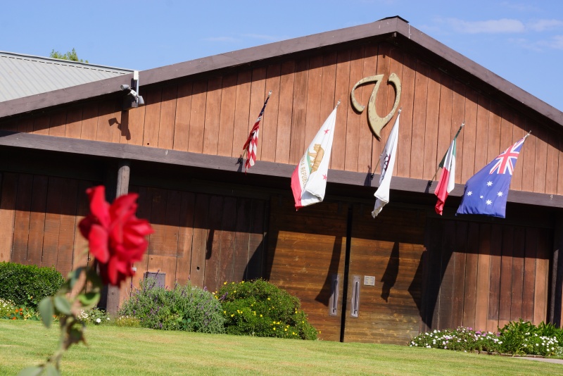 Short-term boarding at Varian Equestrian Center