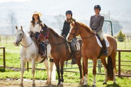 Riding Warehouse reopens