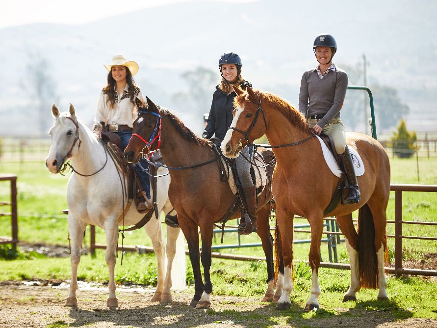 Riding Warehouse reopens