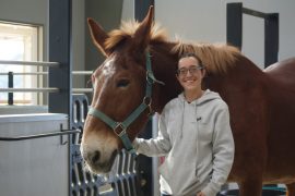 Improve Your Horsemanship by Working with Donkeys