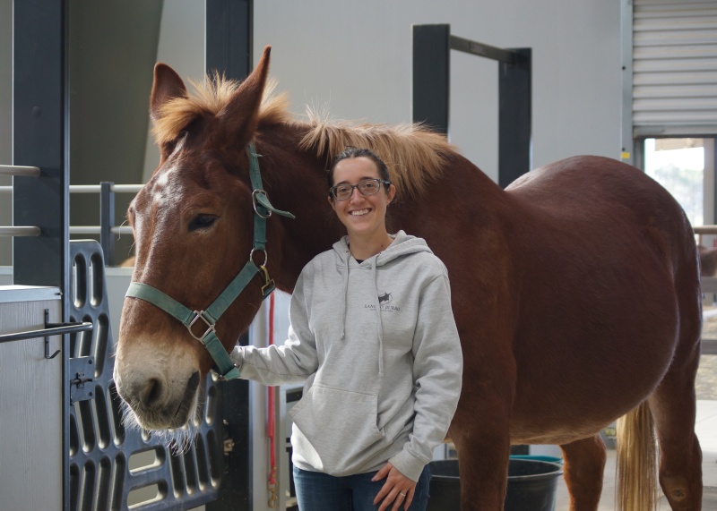 Improve Your Horsemanship by Working with Donkeys