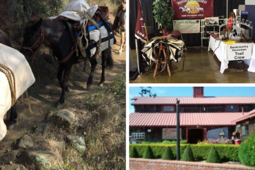 Tack Swap Meet: Turn Your Horse Gear into Cash