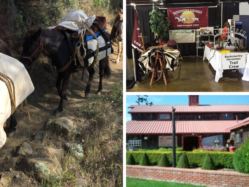 Tack Swap Meet: Turn Your Horse Gear into Cash