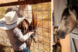 Living the Dream of Horse Property Ownership